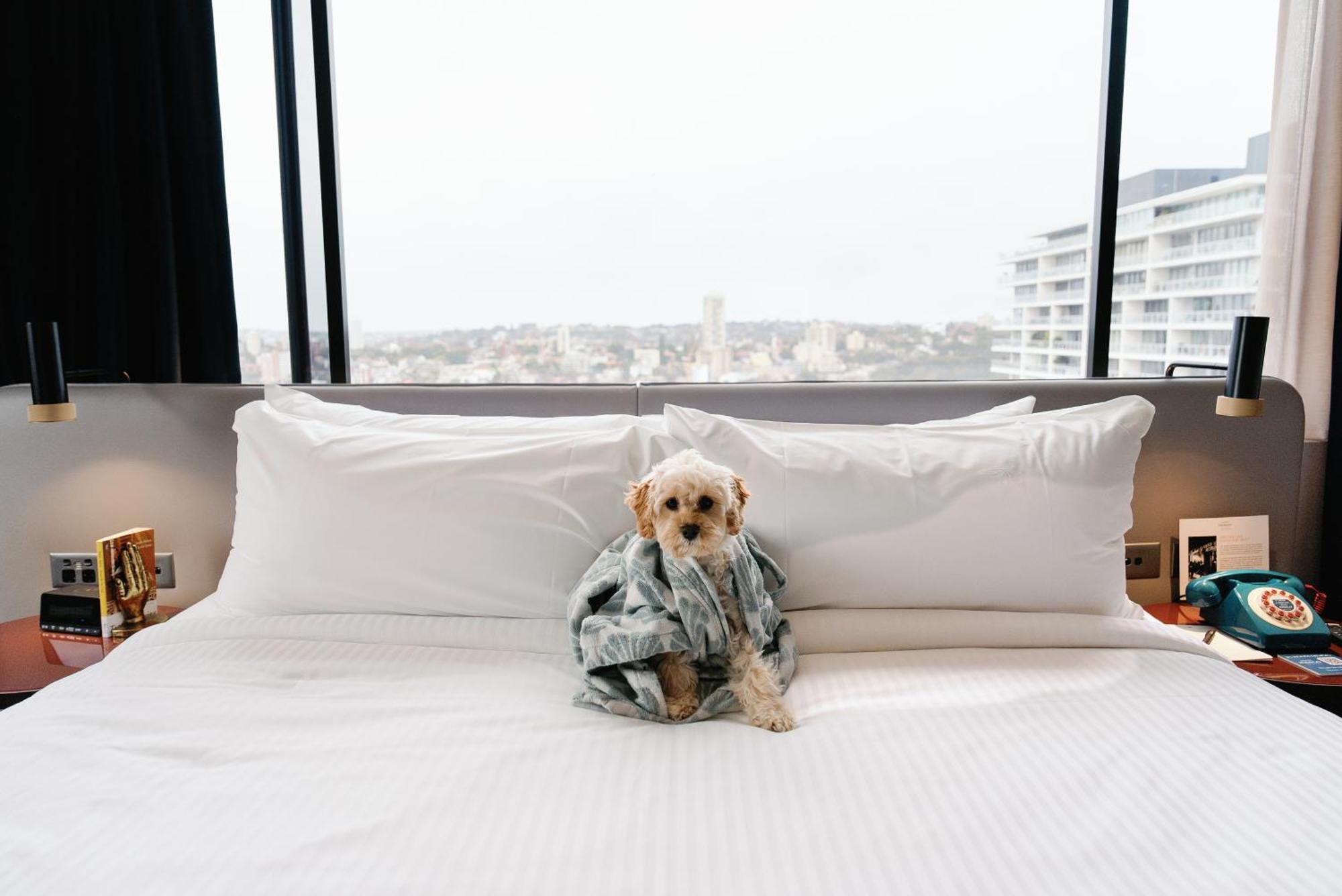 Hotel Indigo Sydney Potts Point By Ihg Bagian luar foto